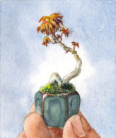 watercolor miniature bonsai series