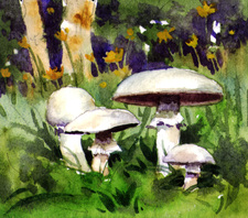 watercolor miniature painting mushrooms