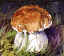 watercolor miniature painting mushroom
