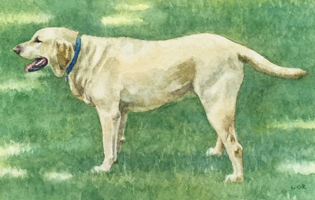 watercolor pet portrait
