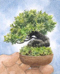 watercolor miniature bonsai series