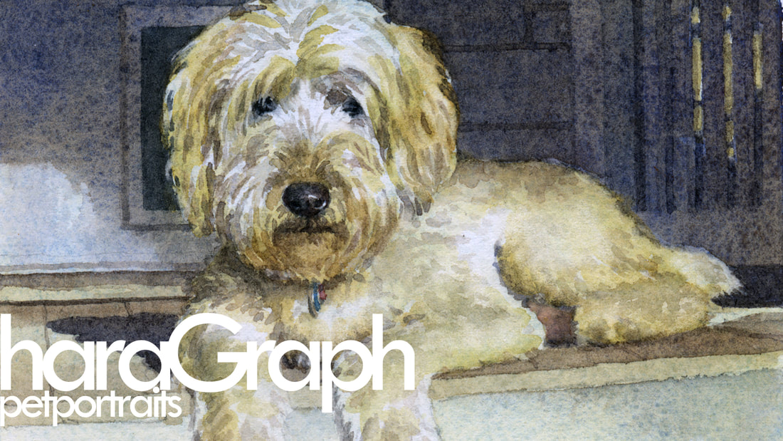 Watercolor Pet Portrait Commissions
